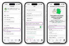 Как настроить WhatsApp для автоматического преобразования голосовых сообщений в текст.jpg