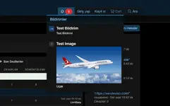 Sticky and Guest Alerts.....webp