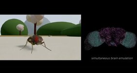 В результате «цифровая муха» может существовать в виртуальной среде.jpg