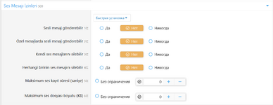 Voice Message....png