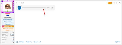 Voice Message..png