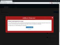 Полнофункциональная система анти-AdBlock. 3.png