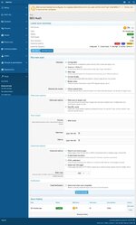 Комплексная панель аудита SEO, встроенная в Админ-панель..jpeg