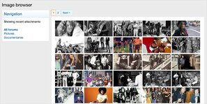 Image browser.jpg