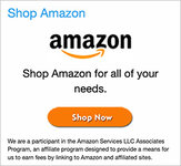Shop Amazon.jpg
